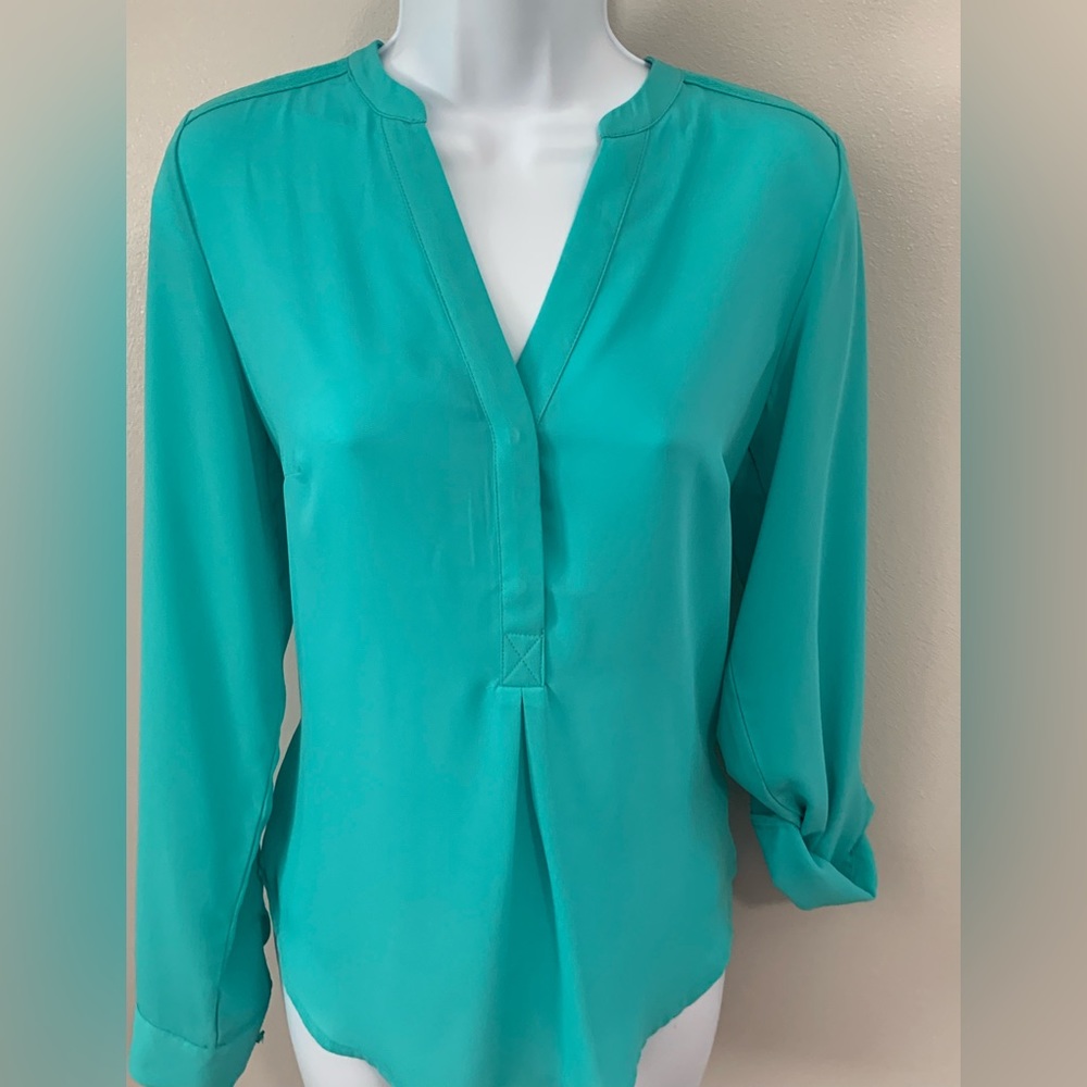 The Limited Blouse